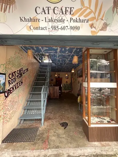 Cat Cafe Pokhara