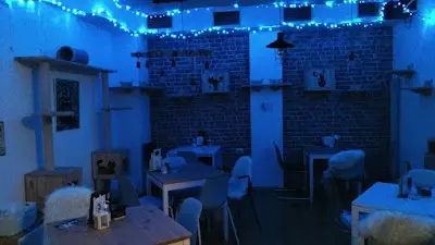 Cat Caffe Zagreb