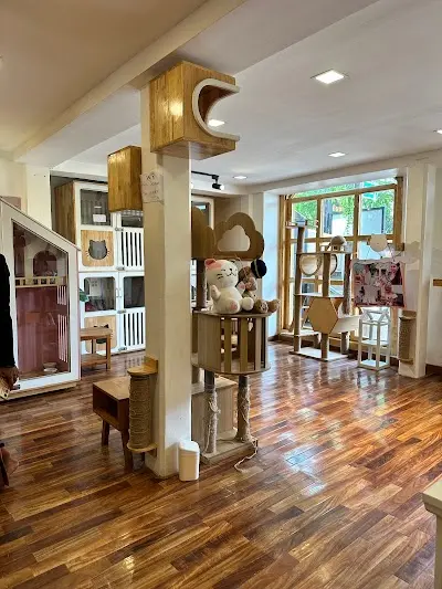 Coco Cat Café