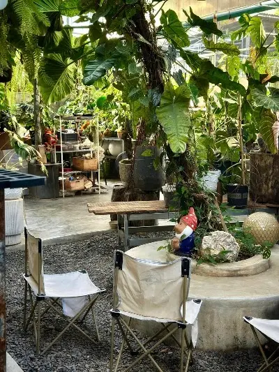 Coffee Maker Roastery