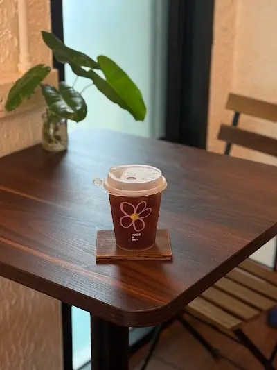 HIDE AND SIP COFFEE