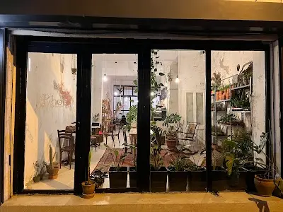 Hoi Coffee and Plants
