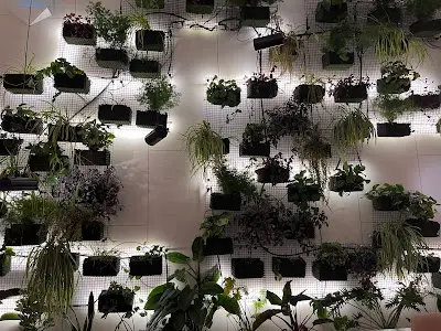 مقهى و محمصة وودز | WOODS Specialty Café & Roastery‎