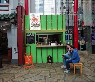 The Wired Monkey SG (The Hole)
