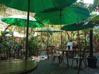 Your Café