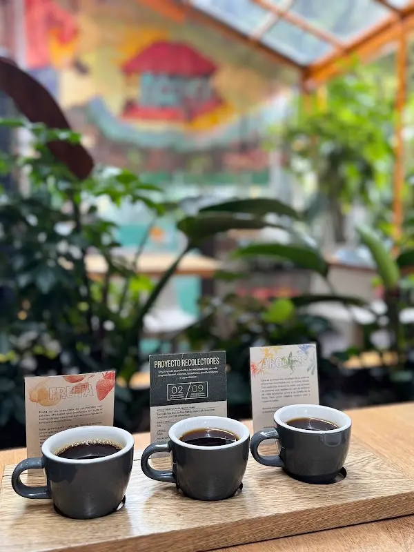 Azahar Coffee Nogal, Foto 4 von 10